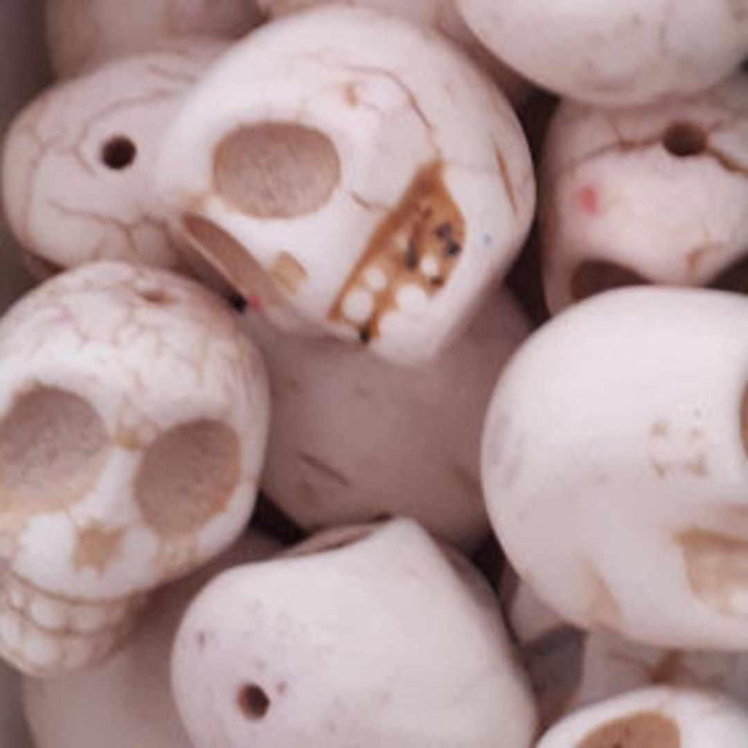Howlite Skull: Large - Bone image 0