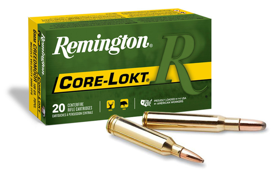 Remington Ammunition 243 Win 100gr PSP image 0