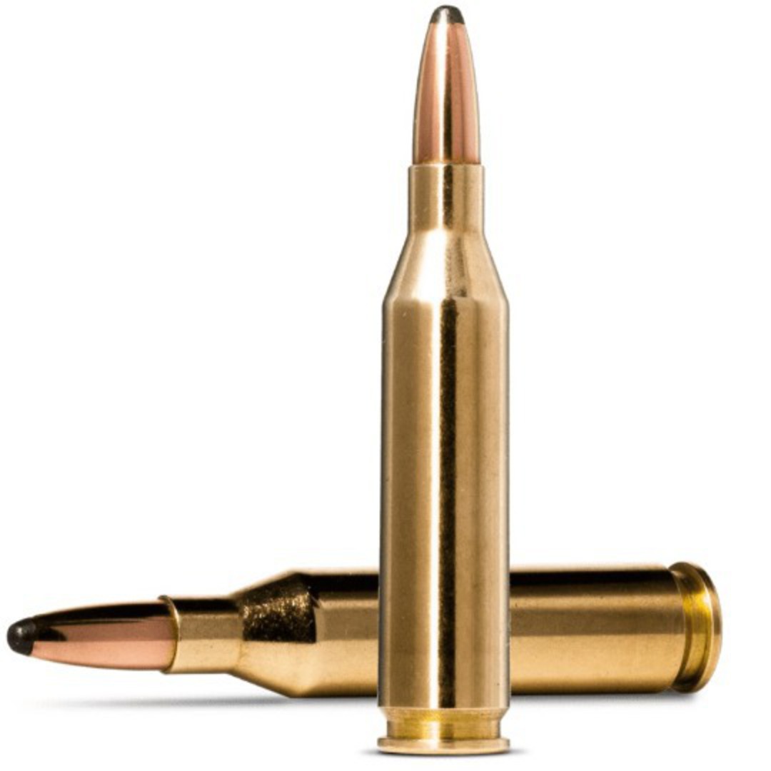 Norma Ammunition .243Win 100SP x20 image 0