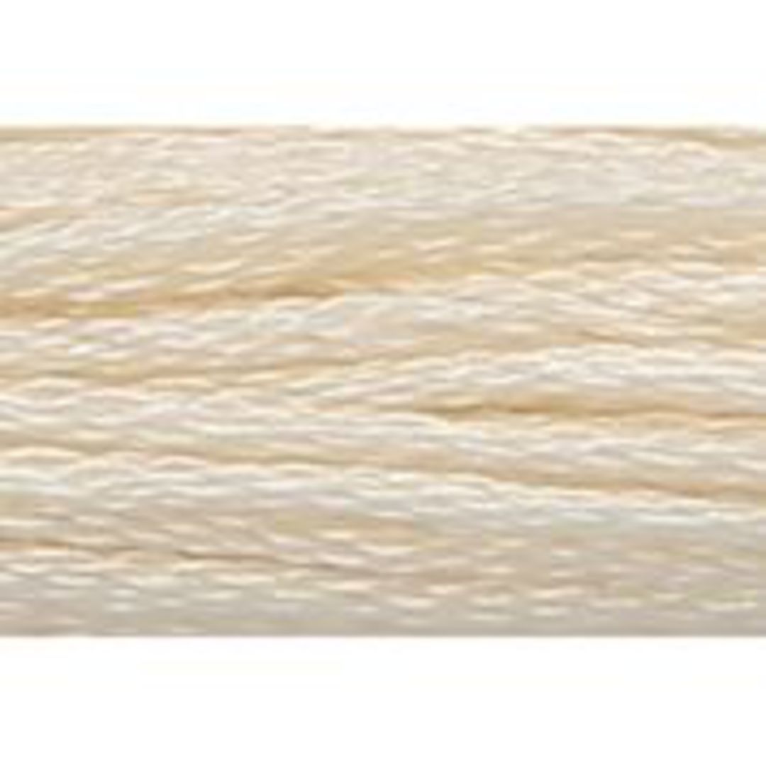 Stranded Cotton Cross Stitch Threads - Beige Shades image 1