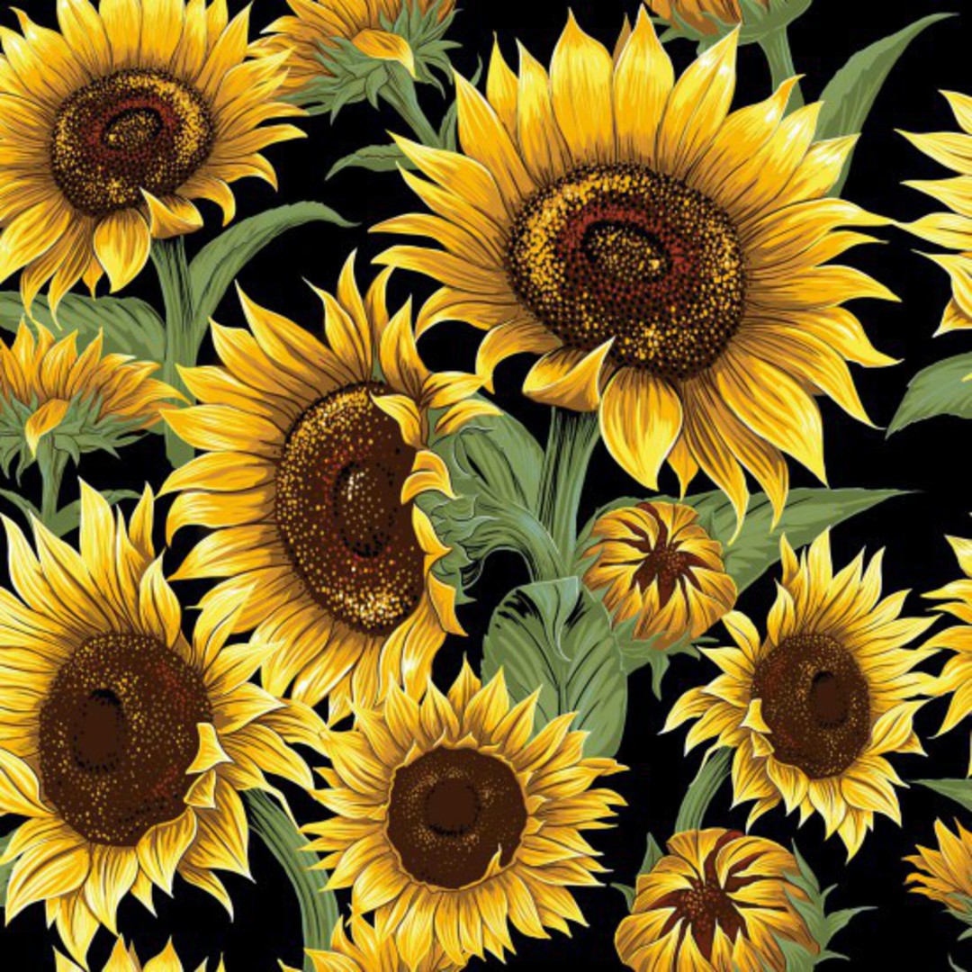Flower Market Colour 101 Sunflowers image 0