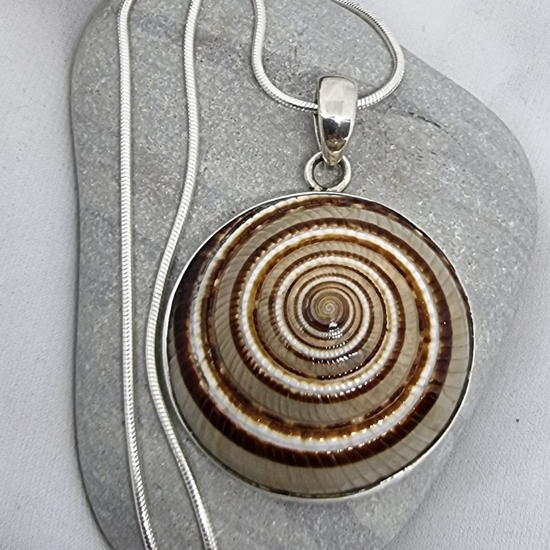 Sterling silver brown sundial shell pendant image 2