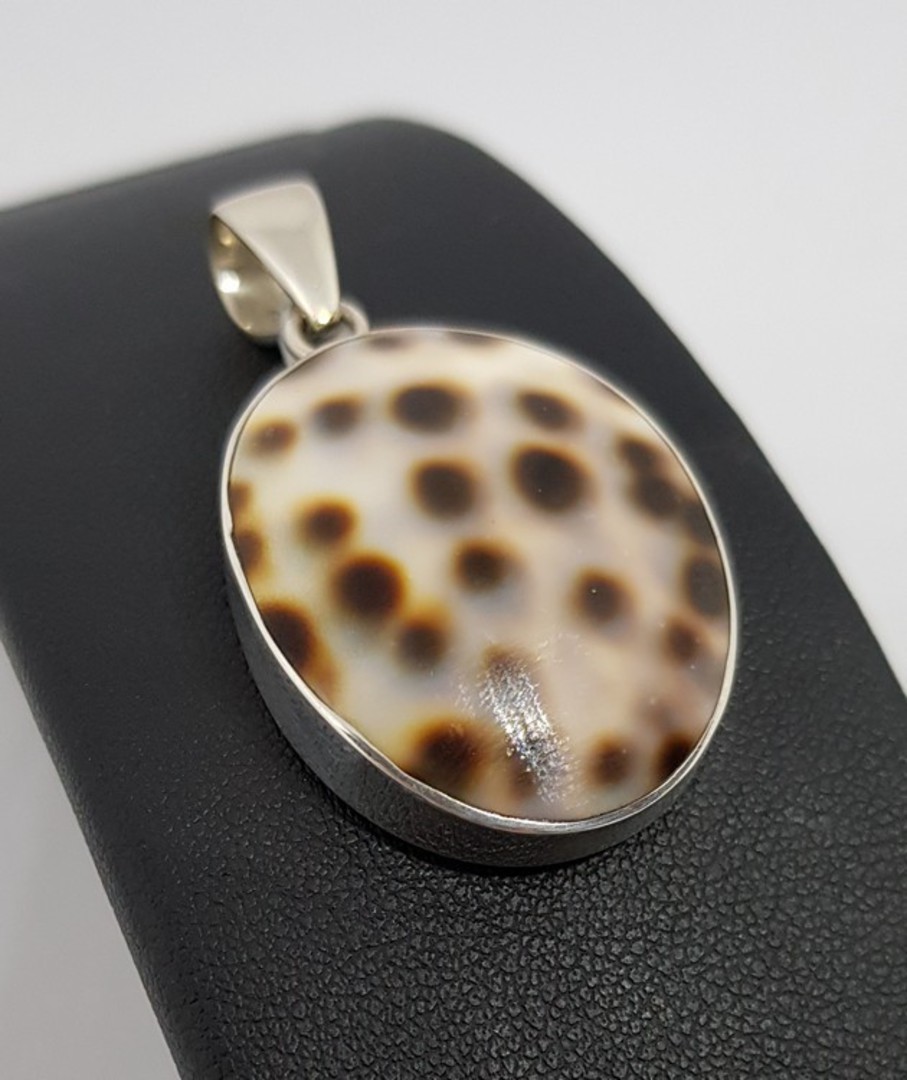 Oval cowrie shell pendant from the South Pacific image 0
