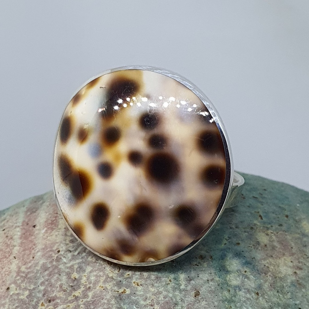 Large round cowrie shell silver ring image 0