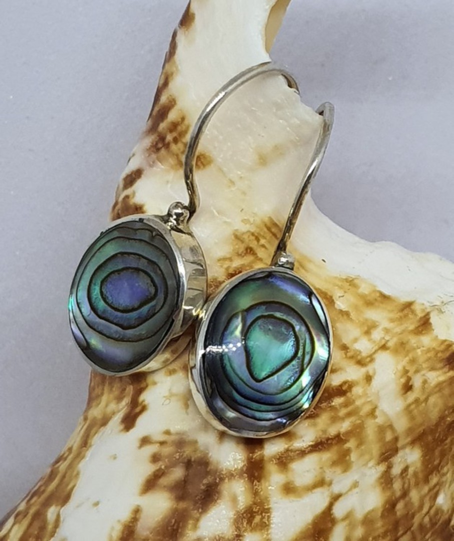 Paua shell silver earrings - last pair image 1
