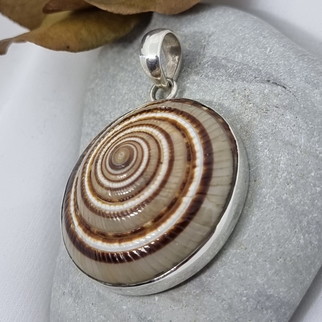 Sterling silver brown sundial shell pendant image 3