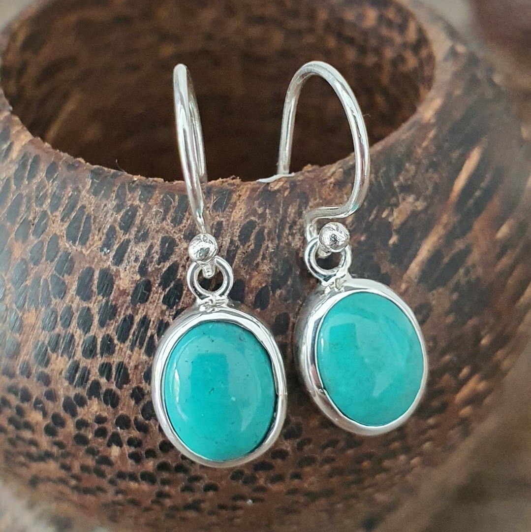 Sterling silver oval turquoise hook earrings image 0
