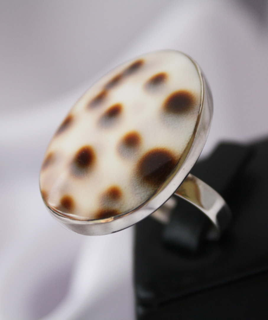 Cowrie Shell Silver Ring image 0