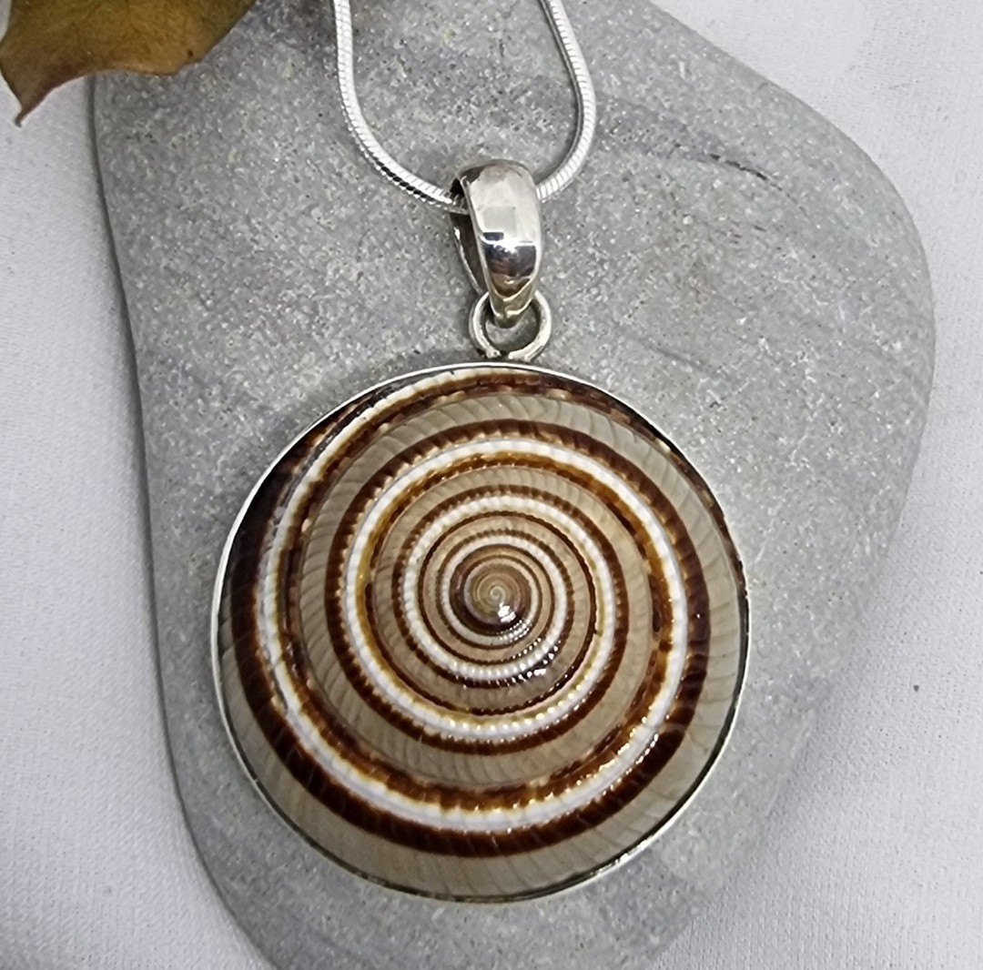 Sterling silver brown sundial shell pendant image 1