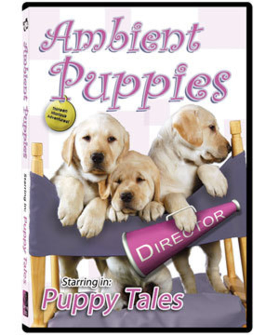 Ambient Puppies DVD image 0