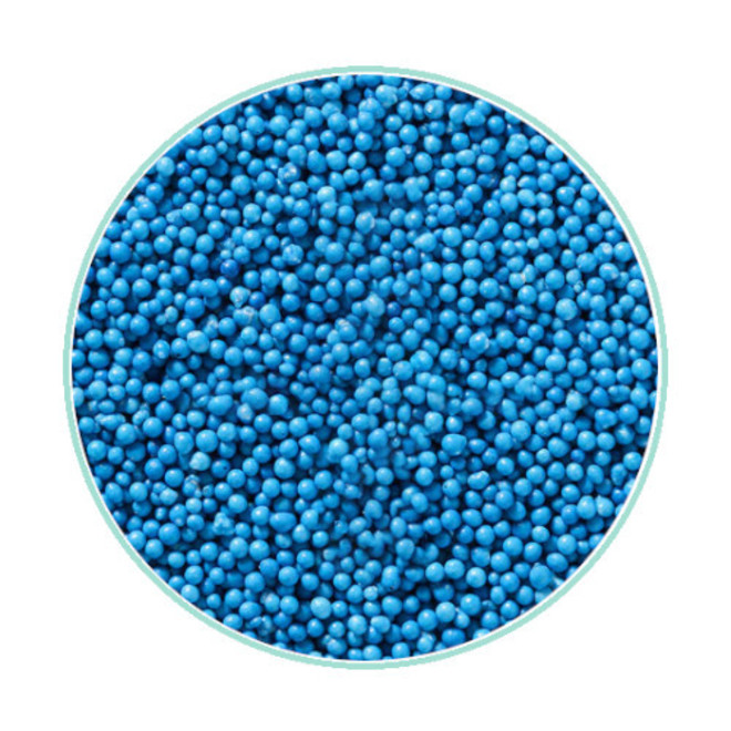 Non Pareils Sprinkles (100s & 1000s) Blue (1kg bag) image 0