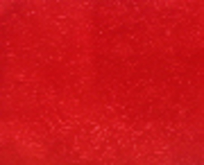 Cakeboard Paper Red Fern Leaf 510mm (10m) image 0