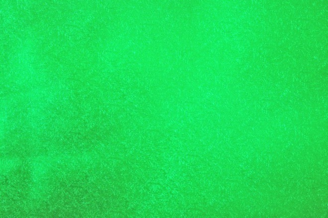 Cakeboard Paper Fern Leaf Green 510mm (10m) image 0