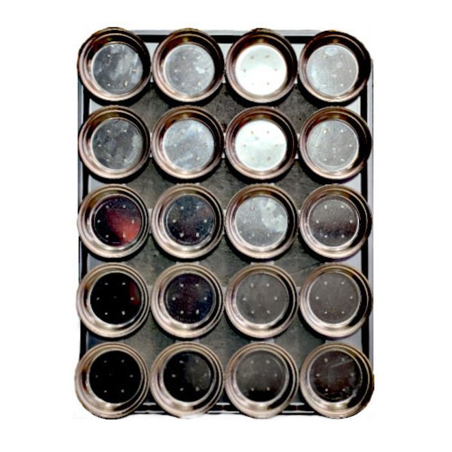Palletized Pie Tins, (20) Round Very Deep 113x42mm, Tray size 600x460mm image 0