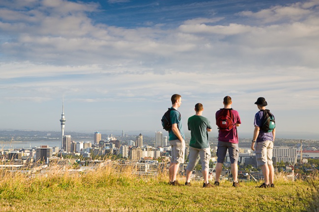 Auckland Volcanoes Hiking Tour Auckland NZ Experiences