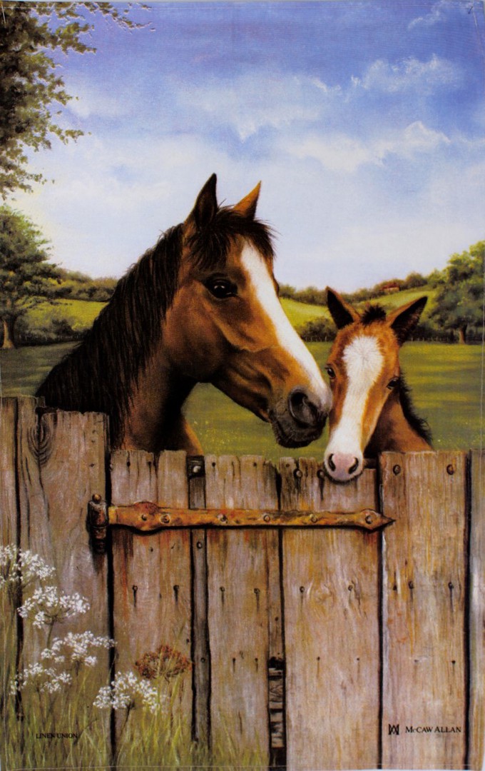 Samuel Lamont "Horse and Foal' tea towel Code: TT-894. (NEXT DELIVERY MARCH 2021) image 0
