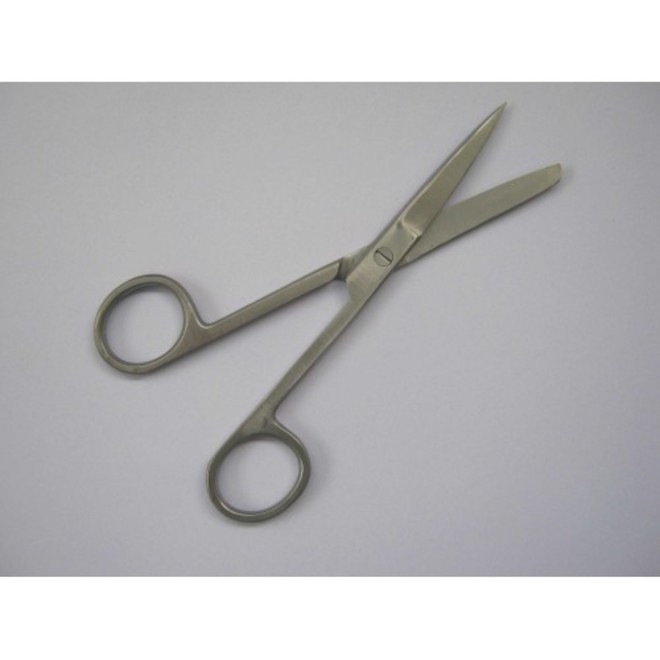 Stainless Steel Scissors 12.5 image 0