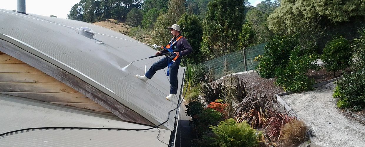 Roof Cleaning 