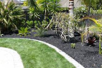 Black mulch bags delivered- 10 bags