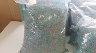 Grass Seed - Boston Green 1kg (In Store or Click and Collect)