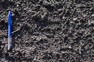 Lawn Mix bags delivered -10 bags