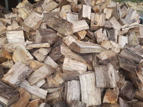 Shed Stored Poplar mix with Dry Macrocarpa -Delivered from (click on image for prices)