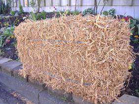 Pea Straw - Bale (In Store or Click and Collect)