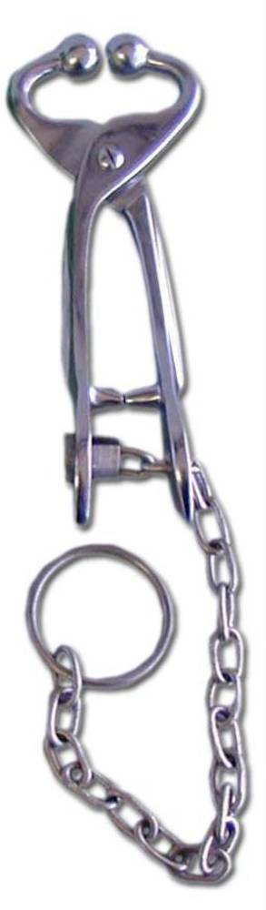Bull Holder with Chain