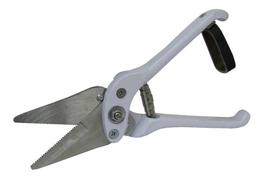 Standard Serrated Footrot Shears White