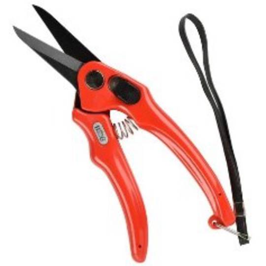 Supersharp Footrot Shears - Serrated (Red)