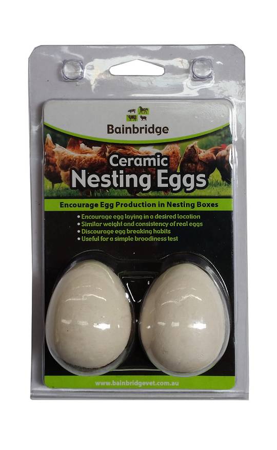 Ceramic Egg (2 pack)