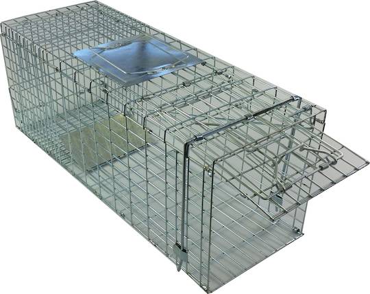 Collapsible Possum Cage