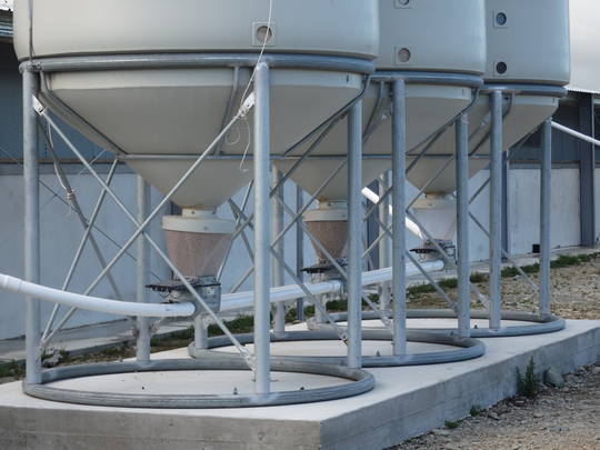Smart Silo SS14 (10t) - Feed System Silo image 3