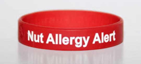 Silicone Nut Allergy Wristband