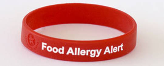 Silicone Food Allergy Alert Wristband