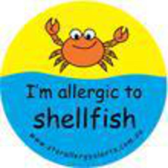 I'm Allergic to Shellfish Badge Pack