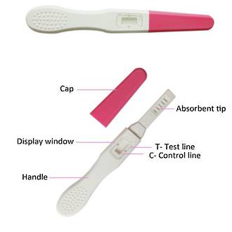 Free Sample - One (1) Baby4You Midstream Pregnancy Test