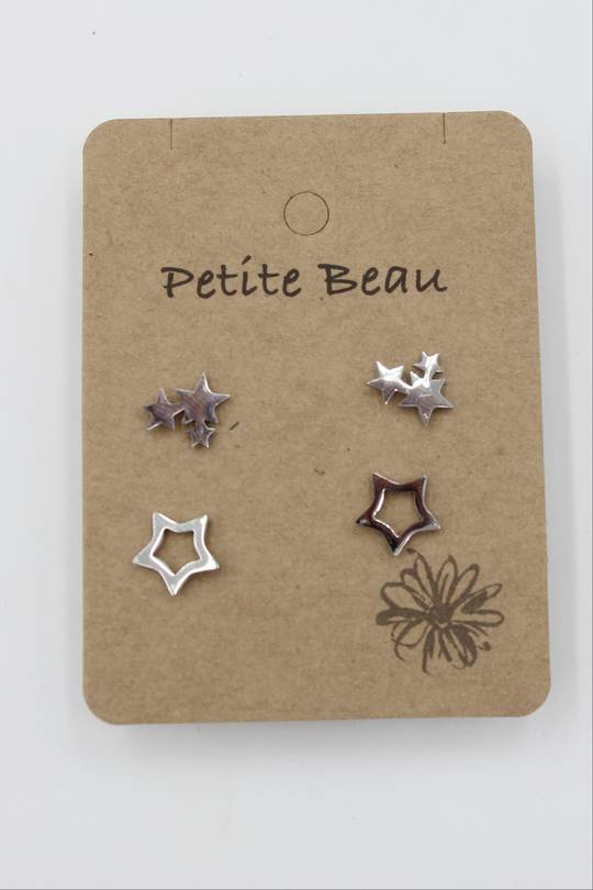 Petite Beau Star Stainless Steel Earrings Silver