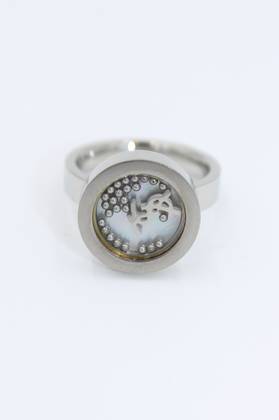 Looking Glass Stainless Steel Ring