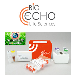 BIOECHO DNA/RNA Extraction Kits