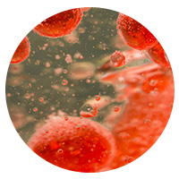 IBJB healthy-human-red-bloodcells-abstract-concept-background Extract Circle