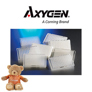 AXYG PCR Plates 300x300 AXYG PCR Plates 300x300