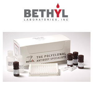 BETH ELISA Kits 300x300 BETH ELISA Kits 300x300