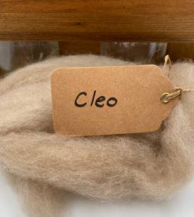 Single Sheep Carded Wool Release - Cleo (300 Gram Bags)
