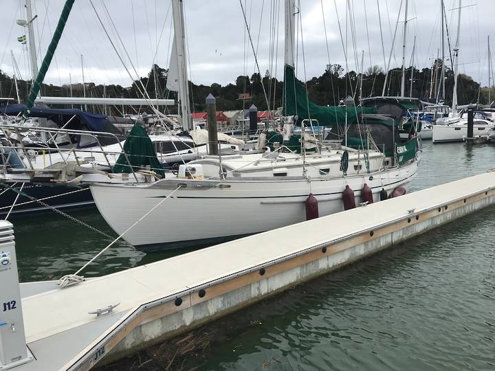 Tayana 37