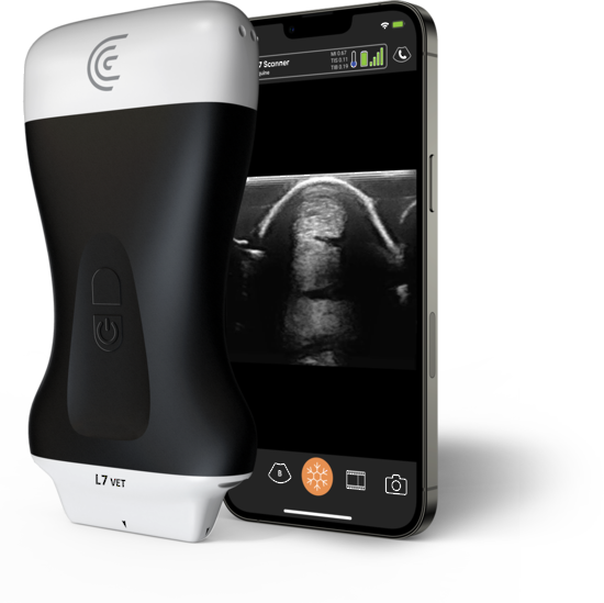 Clarius Handheld Ultrasound L7VET HD3 Linear Scanner for Animal MSK with 3 Year Membership