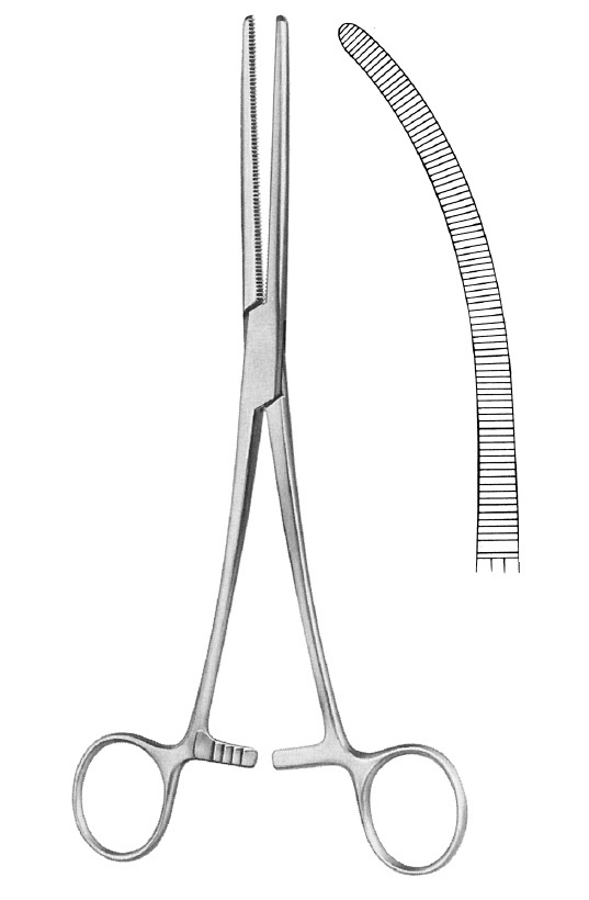 Nopa Rochester Pean Artery Forcep Curved 24cm