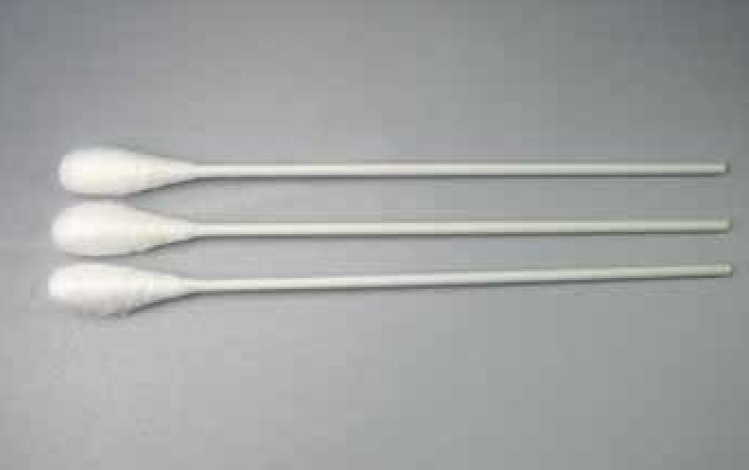 Cotton Jumbo Mouth Swab Sterile Packet of 3 Paper Stem 15cm