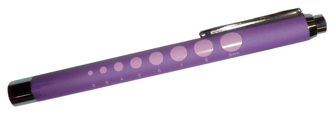 Liberty Professional Penlight Torch Purple