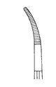 Nopa Schnidt-Sawtell Tonsil Forcep 19cm Slight Curved image 1